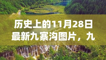 新闻中心 第421页