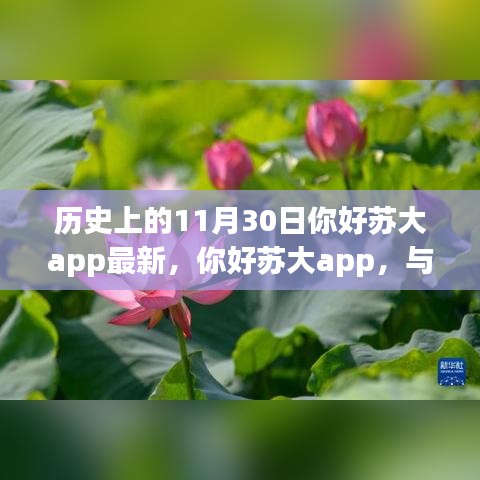 产品展示 第431页