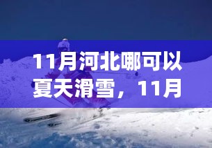 联系我们 第423页