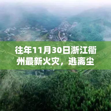 公司简介 第410页