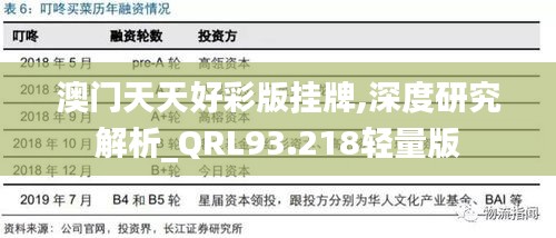 公司简介 第394页