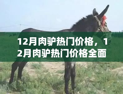 全面评测 第4页