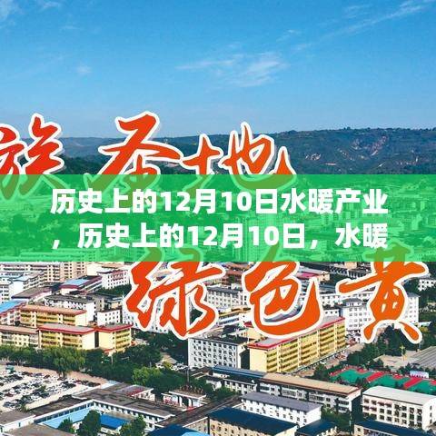 贵险贱璧 第4页