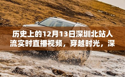 真独简贵 第4页