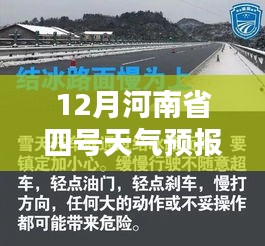 公司简介 第316页