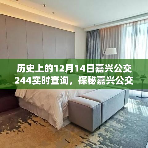 新闻中心 第328页