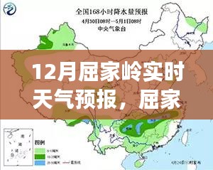 初学者与进阶用户