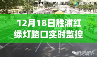 飞箭如蝗 第3页