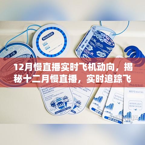 实时追踪飞机