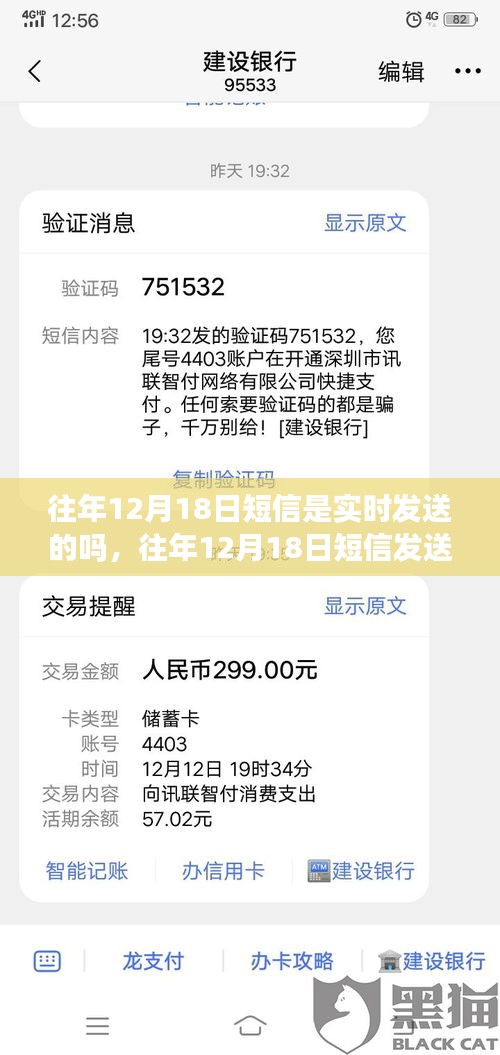 公司简介 第263页