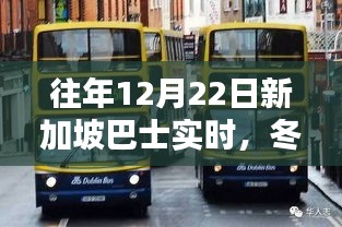 冬日奇遇