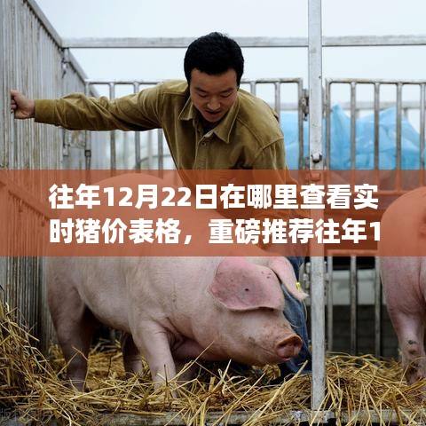 噩噩浑浑 第3页