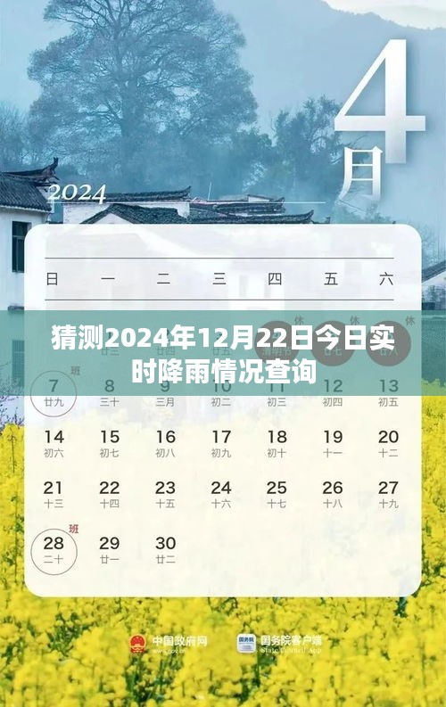 2024年12月22日