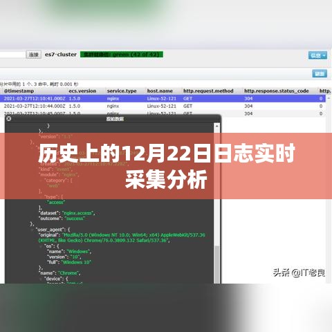 虚张声势 第4页