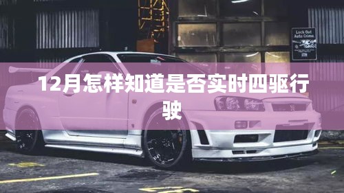 新闻中心 第254页