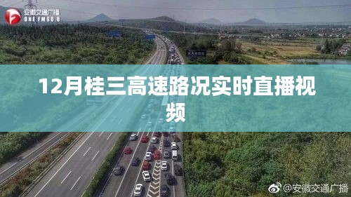 路况直播