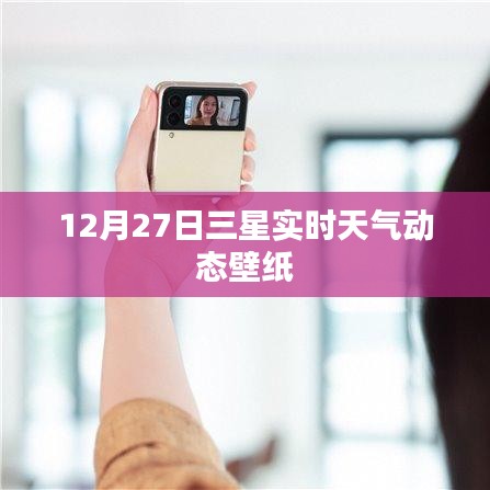12月27日更新