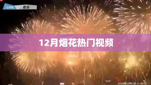 普度众生 第3页