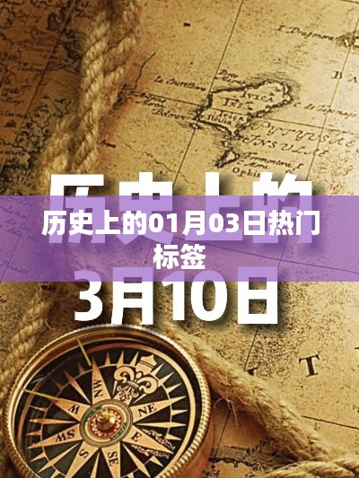 半截鸟木 第3页