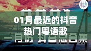 抖音热门