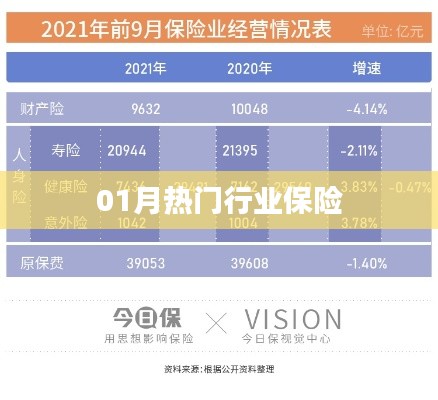 龙飞九五 第2页