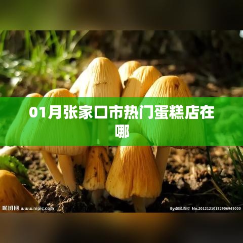 浅笑轻吟梦一曲 第3页