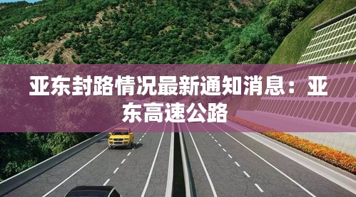 凤鸟不至 第3页