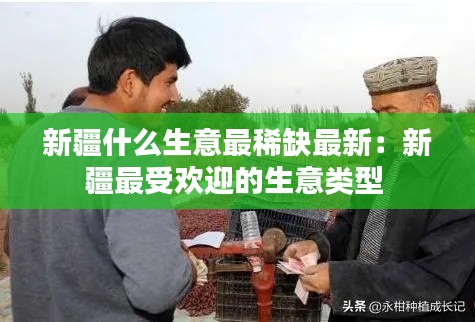 风流儒雅 第2页