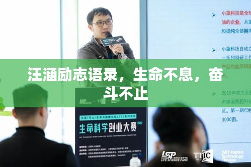 衣不重采 第3页