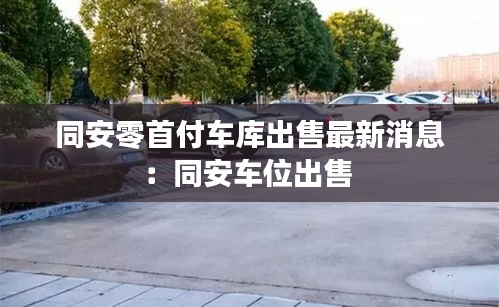 飞龙在天 第3页