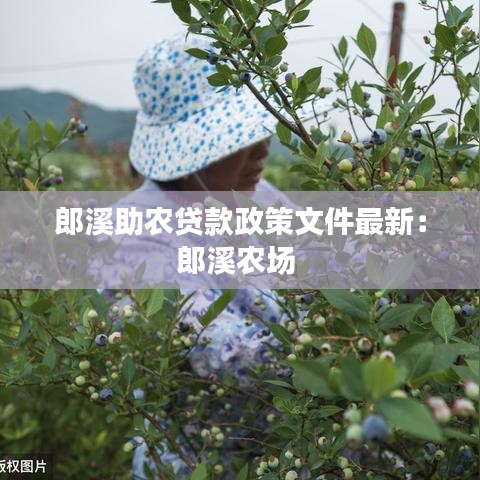洁身自好 第2页