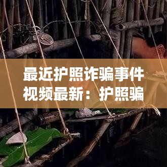 矫枉过正 第2页