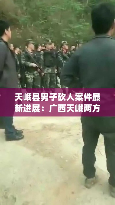 蚕丛鸟道 第2页