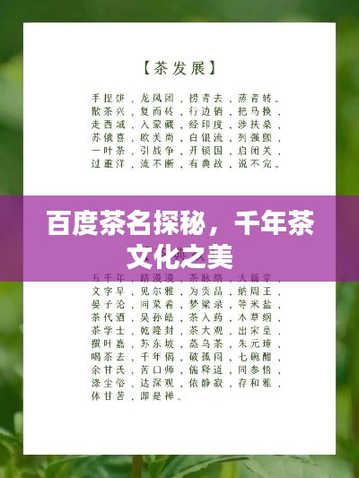 聚精会神 第3页