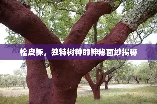 贵农贱商 第2页