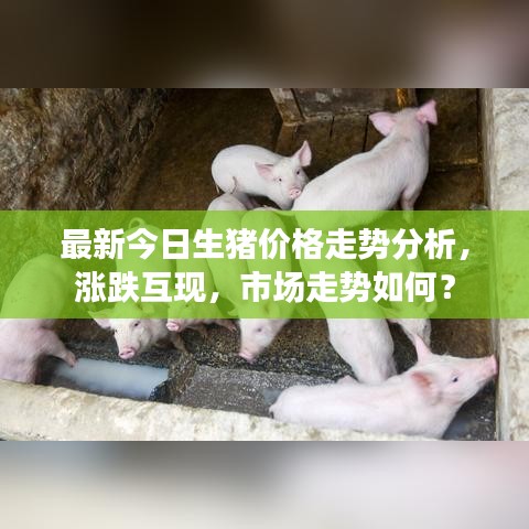 鸟声兽心 第2页