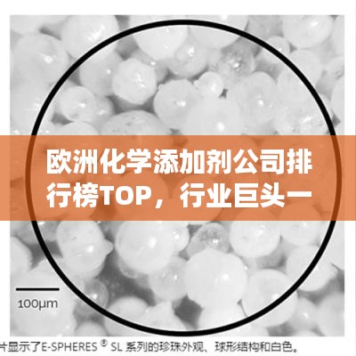 公司简介 第112页