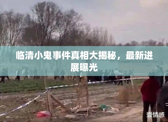 眉清目秀 第2页