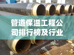 虚张声势 第2页