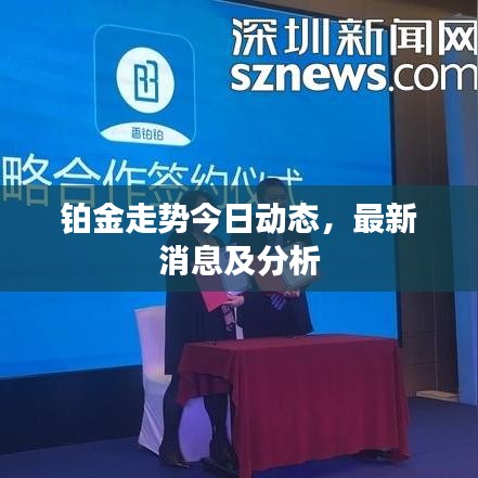 铂金走势今日动态，最新消息及分析
