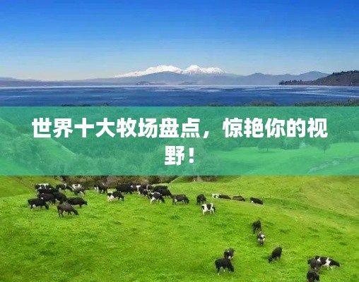 飞黄腾踏 第2页
