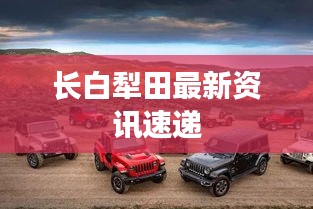 神气十足 第2页