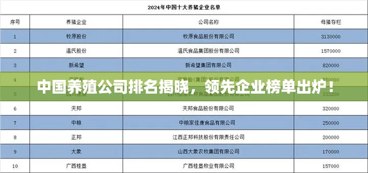 鸟为食亡 第2页