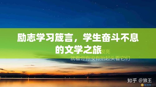 精雕细刻 第2页