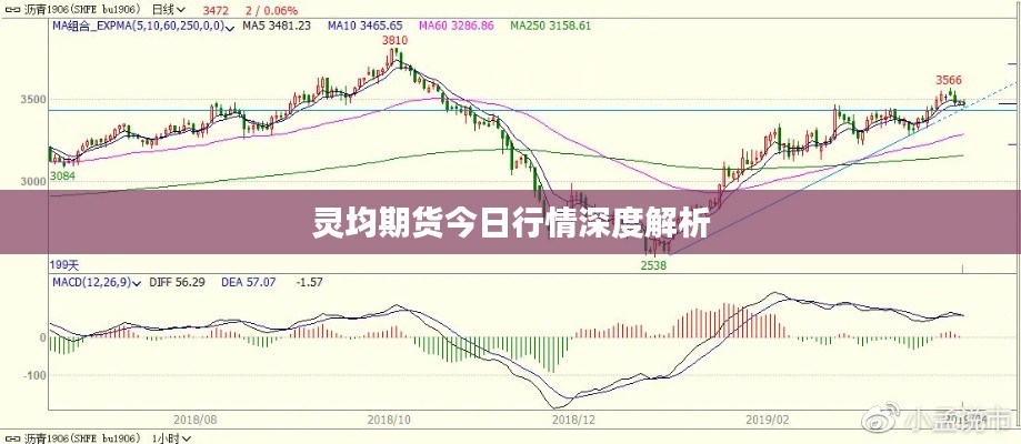 联系我们 第77页