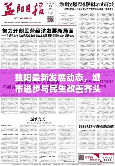 资料大全 第31页