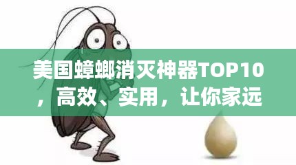 美国蟑螂消灭神器TOP10，高效、实用，让你家远离小强侵扰！