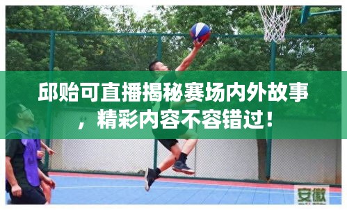 飞扬拨扈