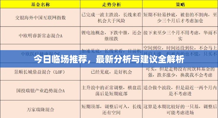 今日临场推荐，最新分析与建议全解析