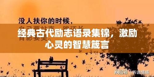 2025年5月5日 第5页